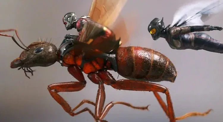 Ant Defeats Giant Predator It's Real Guys !
