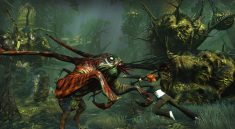 The Secret World Living Beneath a Fallen Leaf