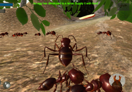 Gamify Your Learning : Top Ant Simulation Games Reviewed!