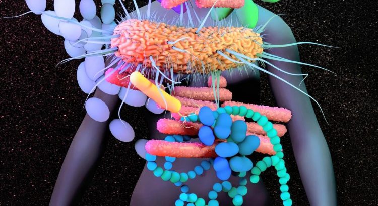 The Future of Microbiology Education: Discover Tiny Ecosystems Like Never Before!