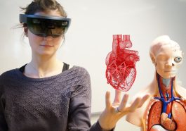 How VR Is Transforming the Way Students Explore Ant Biology