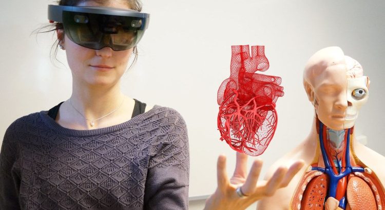 How VR Is Transforming the Way Students Explore Ant Biology