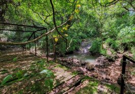 This Micro Habitat Has Been Thriving for 10,000 Years Uninterrupted