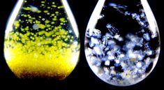 One Drop of Water Contains an Entire Hidden World