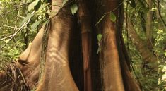 Micro Jungle : Exploring Life in Small-Scale Habitats