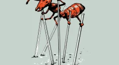 How Ants Walk and Climb: The Science Behind the “Ant-Step” Movement