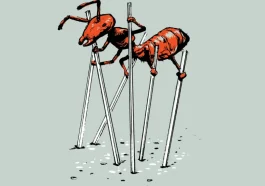 How Ants Walk and Climb: The Science Behind the “Ant-Step” Movement